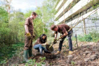 UPS corporate day
