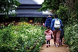 School children and adults walking along the path at Camley Street Natural Park