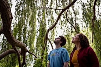 Two people looking up at a tree