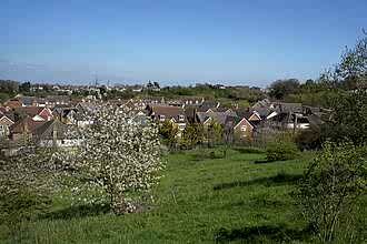 View from Braeburn Park