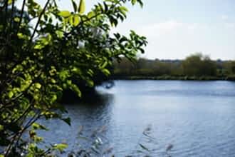 Wetlands