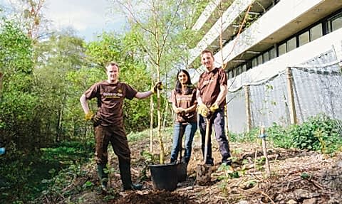 Volunteers planting trees in a woodland