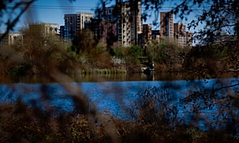 View through trees of Walthamstow Wetlands