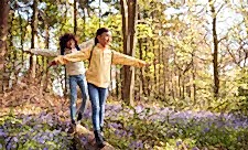 Two Children Walking Through Bluebell Woods In Springtime Balancing On Log
