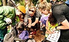 A group of individuals gathered around a child in a wheelchair, looking at a mini beast in someone's hand