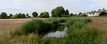 Mayesbrook Park