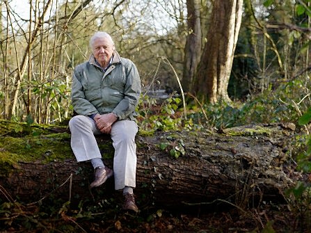 David Attenborough My Wild Life