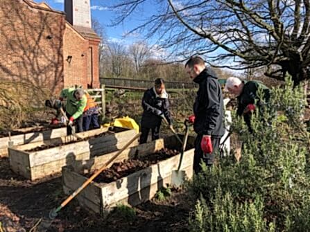 Volunteers tending to raised beds