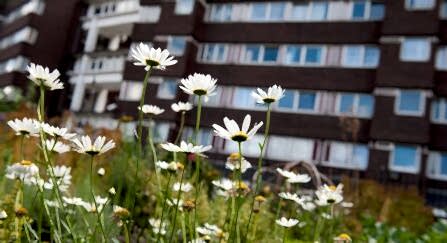 2020VISION, Community Gardening