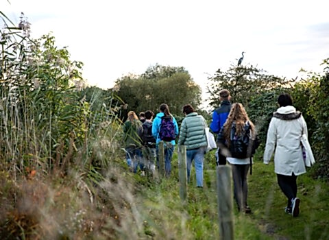 A group of young adults walking through vegetation.
