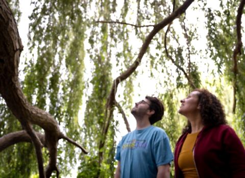 Two people looking up at a tree
